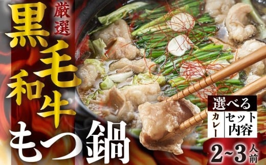 【2月発送】《簡易包装》飛騨産 黒毛和牛 もつ鍋セット(2-3人前) ●選べるスープ( カレー ) 鍋の素 牛肉 肉 鍋 なべ モツ もつ ホルモン 選べる セット 国産牛 和牛 冷凍 飛騨市 7000円 7千円