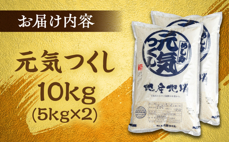 福岡産ブランド米 元気つくし 10kg (5kg×2袋) 桂川町/南国フルーツ株式会社[ADBW027]
