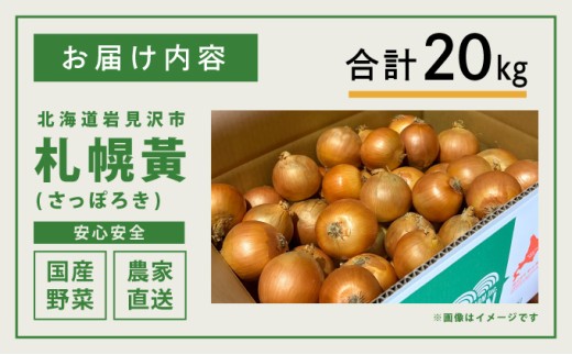【先行予約】幻の玉ねぎ！札幌黄（さっぽろき）20kg【a168-012】 たまねぎ 玉葱 タマネギ 国産 まとめ買い 業務用 贈り物 野菜 美味しい 送料無料 新鮮野菜 健康 和食 レストラン 国産野菜 採れたて 農家直送 産地直送 北海道 岩見沢市
