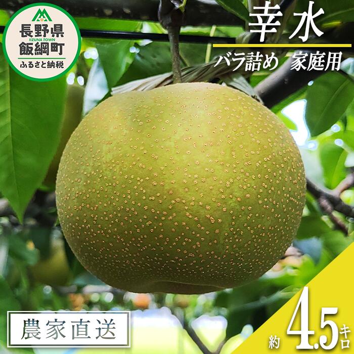 【ふるさと納税】 梨 幸水 家庭用 4.5kg ( バラ詰め ) 松澤農園 沖縄県へは配送不可 令和7年度収穫分 長野県 飯綱町 〔 梨 幸水 なし ナシ 信州 16000円 予約 農家直送 〕発送時期：2025年8月下旬〜2025年9月上旬