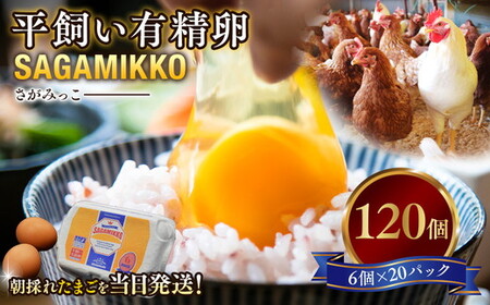 《かながわブランド認定》平飼い有精卵さがみっこ 6個入り×20P 計120個｜たまご 平飼い 有精卵