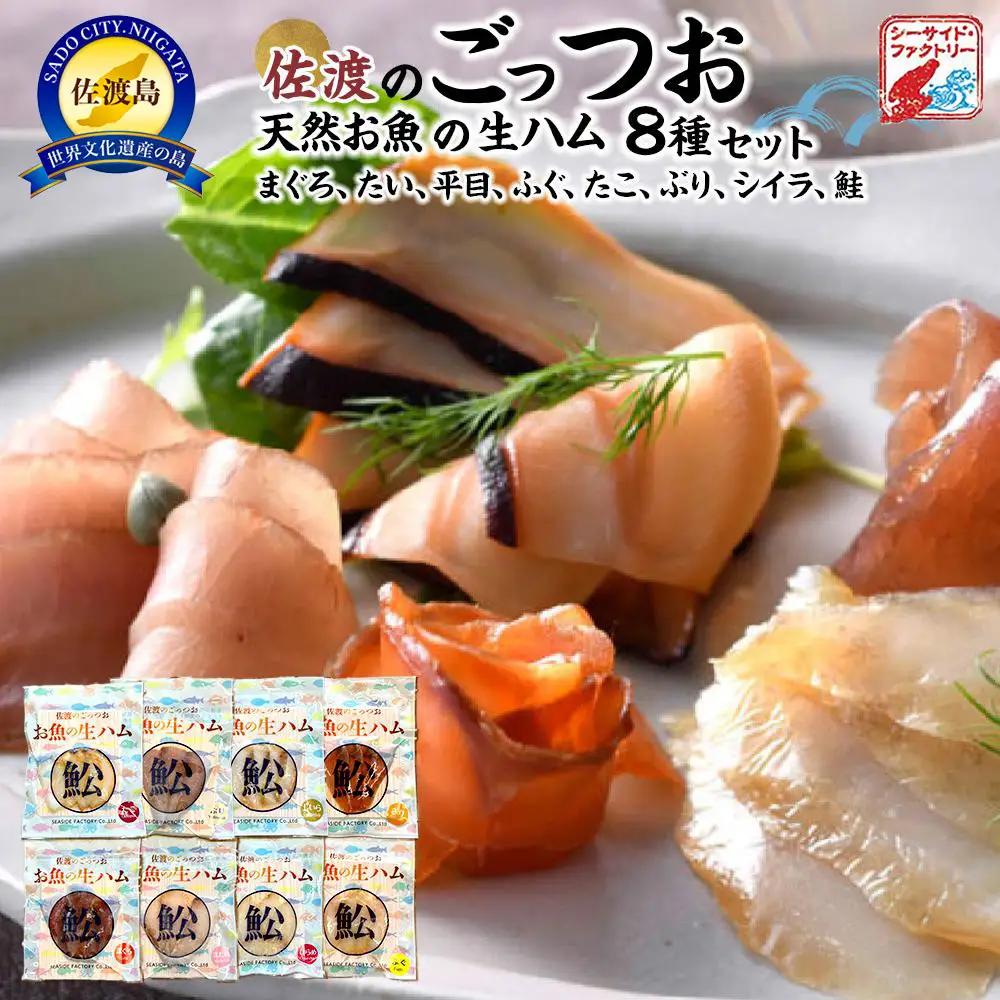 佐渡のごっつ天然お魚の生ハム8種セット