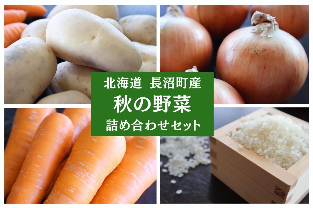 【2025年10月上旬発送】北海道 長沼町の《秋》の野菜セット