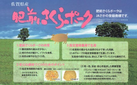 ｂ－３４２　佐賀県産肥前さくらポーク切り落とし ５００ｇ×４パック