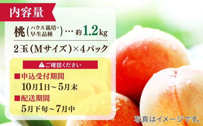【2025年5月下旬〜順次発送】【南島原 の特別栽培】 小玉ハウス 桃（Mサイズ：4パック） / 桃 もも モモ ピーチ 1.2kg デザート 旬 フルーツ 柔らかい 果物 / 南島原市 / ふくはち