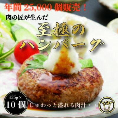 【ふるさと納税】おんどるハンバーグ(ソース無し)10個【配送不可地域：離島】【1580604】