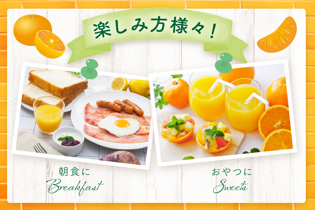 【佐賀県産温州みかん使用】 みかんジュース さがみかん100 1L×6本 果汁100% 173-A057