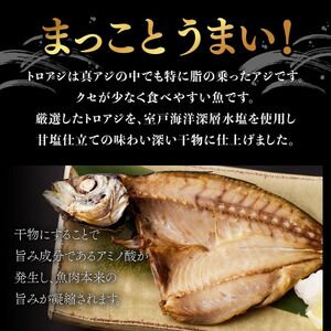【高知県室戸市】 脂乗り抜群 アジ干物 3回定期便（鯵 あじ 8枚×3回 合計24枚） 室戸海洋深層水仕込み 国産 冷凍 魚介 海鮮 ギフト 酒の肴