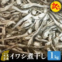 【ふるさと納税】【訳あり】氷見産 煮干し1kg | イワシ いわし 鰯 訳アリ 干物 おやつ 乾物 出汁 味噌汁 魚介 国産 富山 氷見 氷見漁港 常温