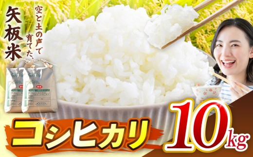 こしひかり 10kg 空と土の声を聴いて育てた「矢板米」 | お米 米 栃木県 矢板市