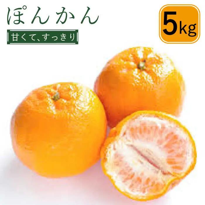 【2027年1月中旬-発送】ぽんかん  5kg  （M-3L）/ ぽんかん ポンカン ぽんかん ポンカン ポンカン みかん ミカン 蜜柑 柑橘 フルーツ 果物 / 南島原市 / 日野江 [SCY003]