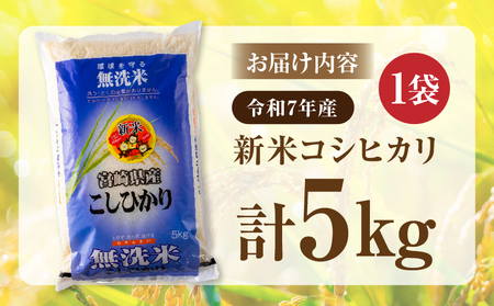 2週間以内に発送 無洗米 令和7年産 新米 コシヒカリ 計5kg 米 期間限定 宮崎県産 お米 ご飯 ライス 国産 人気 食品 精米 白米 こしひかり おにぎり お弁当 炊き込みご飯 雑炊 ギフト 贈