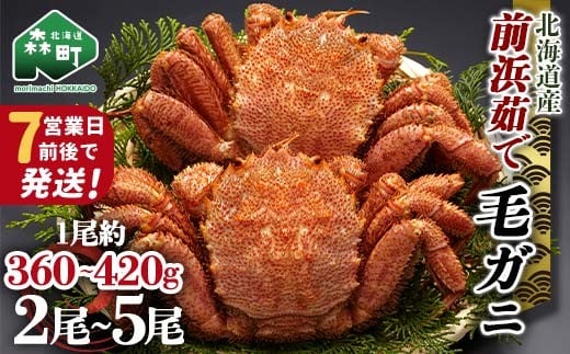
            【7営業日前後で発送】北海道 毛ガニ 容量が選べる 前浜茹で毛がに 約360g～420g 2尾～5尾 かに カニ 蟹 ガニ がに 森町 毛蟹 毛かに 毛がに 毛カニ 毛ガニ mr1-1032
          