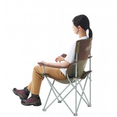 ふるさと納税 城陽市 バックアシストアームチェア　腰をしっかりサポートし、長時間座っていても疲れにくい!　73331900 |  | 01