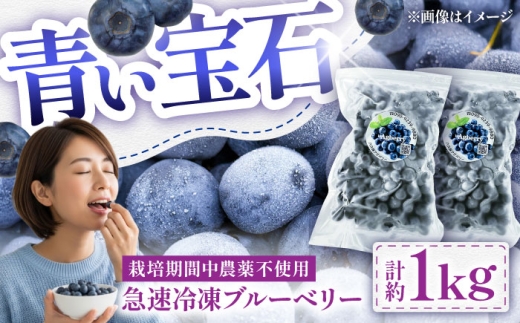 青い宝石 国産 急速冷凍ブルーベリー 計約1kg（約500g×2袋）  / 冷凍 ブルーベリー 計1kg 果物 ブルーベリー フルーツ 冷凍 ブルーベリー ぶるーべりー 国産【アグファーム株式会社】 [BHCX005]