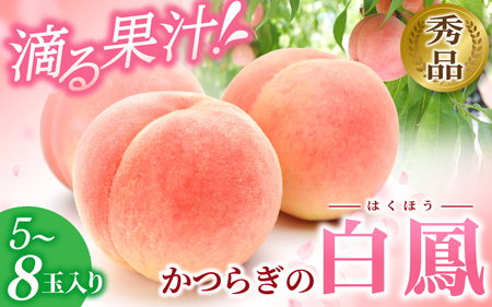 ＼レビューキャンペーン中／ 秀品 桃 白鳳 5～8玉入り 【2025年6月下旬以降発送】桃桃桃桃 もも モモ ﾓﾓ 桃 momo フルーツ くだもの 果物 甘い 国産 デザート スイーツ 答用 贈り物 桃 桃 桃【mtgn053A】