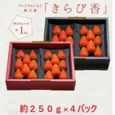【ふるさと納税】【先行予約】いちご【きらぴ香】1箱 (1箱4パック入り 約250g×4)【配送不可地域：離島・北海道・沖縄県・四国・九州】【1634075】