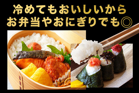 【6ヶ月定期便】令和7年産 新米 コシヒカリ 米 10kg (5kg×2袋) 計60kg 白米 こめ こしひかり 国産 国産米 取り寄せ ごはん ご飯 コメ お取り寄せ お弁当 弁当 おにぎり 産地直