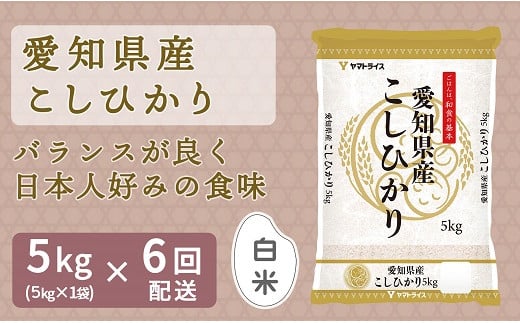 
愛知県産コシヒカリ 5㎏　※定期便6回　こめ コメ ごはん 安心安全なヤマトライス 米 白米 国産 精米 5キロ　H074-611
