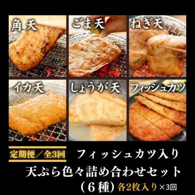 ふるさと納税 小松島市 【定期便:全3回】〇産蒲鉾のフィッシュカツ入り、 天ぷら色々詰め合わせセット(6種)