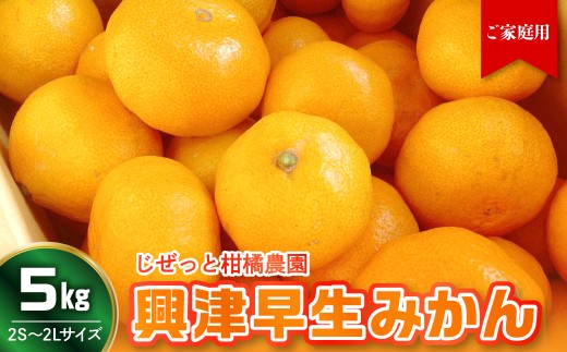 【先行受付】【2026年11月上旬～発送】甘さと酸味が丁度いい！濃厚興津早生みかん5kg 家庭用(2S〜2L：約55個）　ku212-006-26