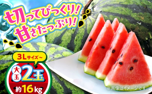 【2026年 先行予約】【数量限定】大玉すいか 3L以上 2玉入り 約16kg【日本フルーツ株式会社】 [AYDA009]