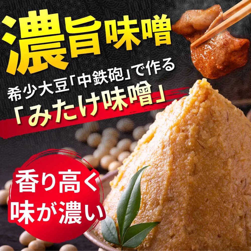 「元祖みたけとんちゃん」 【辛口セット】 ピリ辛みそ味×ミックスホルモン狂辛（8人前）[AVAA055]ホルモン ピリ辛