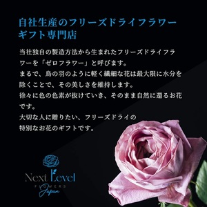 SL0284　水のいらない花 ゼロフラワー「花いちりん」 S×3セット　草花(ミックス) 