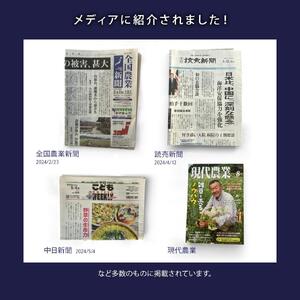 ボディソープ ゴールデンロッド 500ml 33回 | 世界初 植物エキス 保湿 無着色 天然 ギフト 日本製 美容 化粧品 雑草 セイタカアワダチソウ