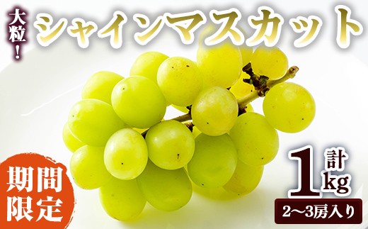 
                  ＜先行予約受付中！2026年8月中旬以降順次発送＞ シャインマスカット1kg マスカット ぶどう ブドウ 葡萄 フルーツ 果物 くだもの デザート 【奥久慈 まほろばの郷 ふれあい農園】【ho1525】
                