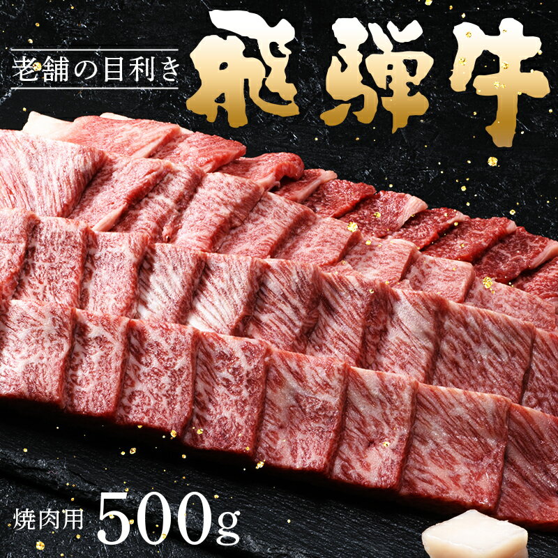 【ふるさと納税】牛肉 飛騨牛 肩ロース肉 焼肉用 500g 【上見屋】 牛肉 和牛 国産 薄切り肉 炒め物 バーベキュー キャンプ アウトドア 誕生日 記念日 お祝い 人気 お取り寄せ グルメ 冷凍 送料無料【おうち BBQ】岐阜県 中津川市 F4N-0739
