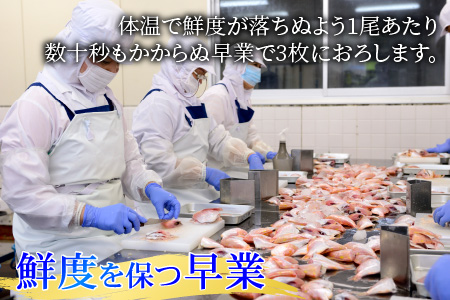小鯛ささ漬 大樽 180g×1樽  [Y-001016] [BFAA043] 【配送不可地域：離島】