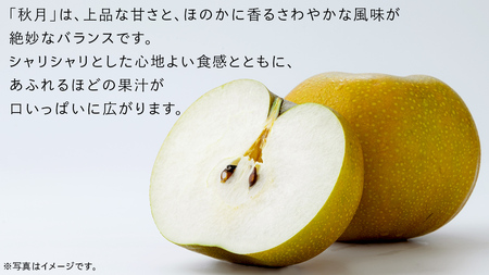 あきづき 梨 5kg （10～18玉）【2025年10月より発送開始】（茨城県共通返礼品 [梨]：大子町産） なし 旬 お取り寄せ フルーツ 甘い ジューシー 和梨 時期