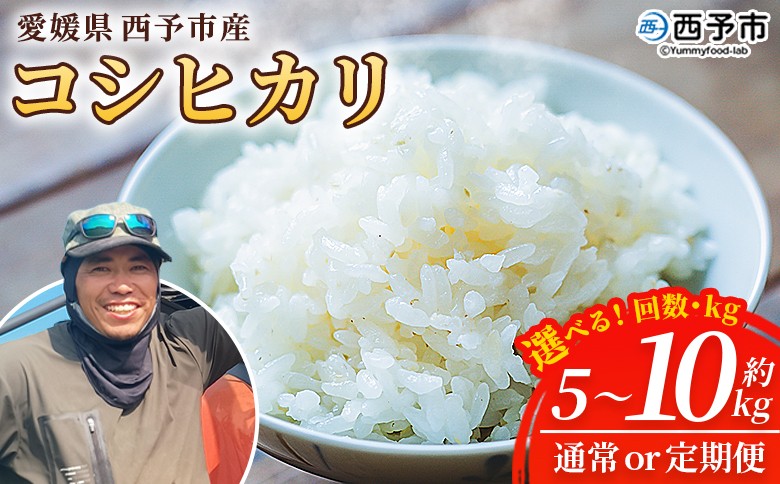 
                  【先行予約】＜令和8年産 愛媛県西予市産 コシヒカリ 5kg / 10kg＞ 国産 愛媛県産 宇和町産 こしひかり お米 米 コメ こめ 白米 精米 ご飯 新鮮 5キロ 10キロ 選べる 特産品 もとき農園 愛媛県 西予市【常温】『2026年10月・11月頃から順次発送予定』
                