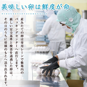 奥久慈卵（赤）30個 ブランド 玉子  タマゴ 【卵】【ho1312】