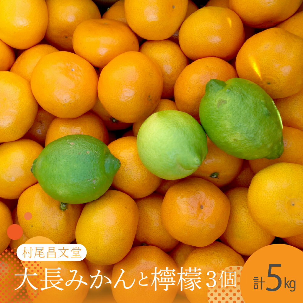 【ふるさと納税】【 2025年 12月 上旬～発送】 広島 大長みかん と 大長檸檬 3個セット 5kg 広島県産 瀬戸内 蜜柑 檸檬 みかん ミカン れもん レモン 柑橘 甘い 香り 酸味 まろやか 産地直送 送料無料 果物 フルーツ 広島県 呉市