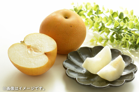 梨 【産直もぎたて】里山のもぎたて梨　計3kg