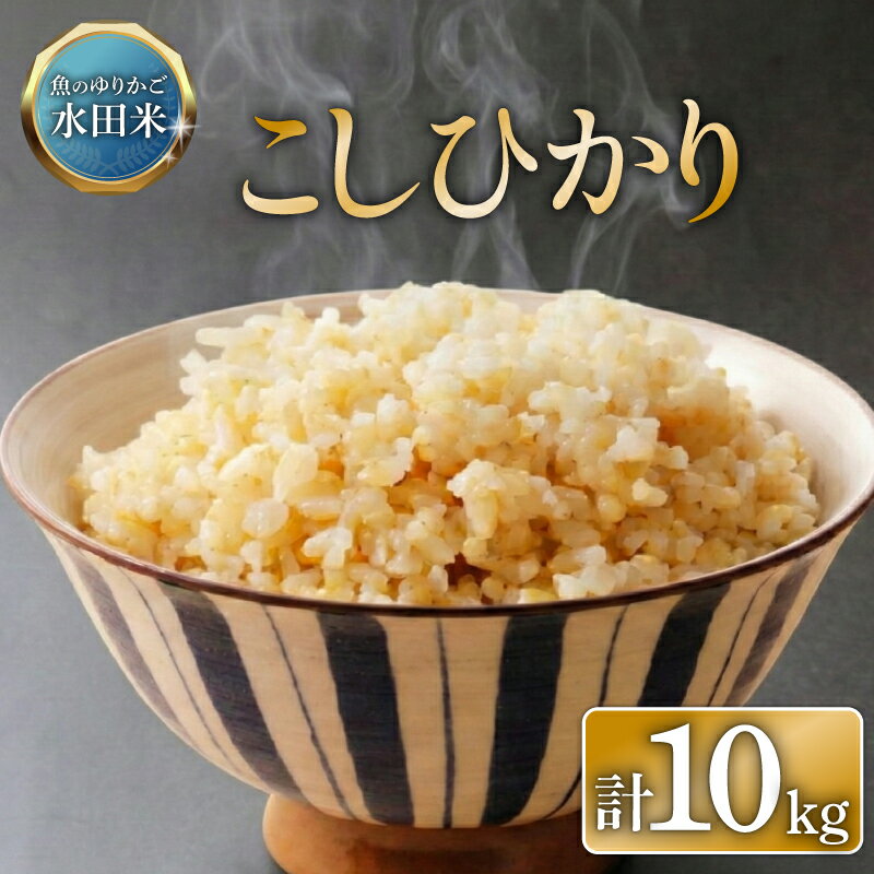 【ふるさと納税】 令和7年産 環境こだわり栽培 コシヒカリ 玄米 米 こめ 10kg 10 令和7年 7年 数量限定 順次発送 滋賀 彦根