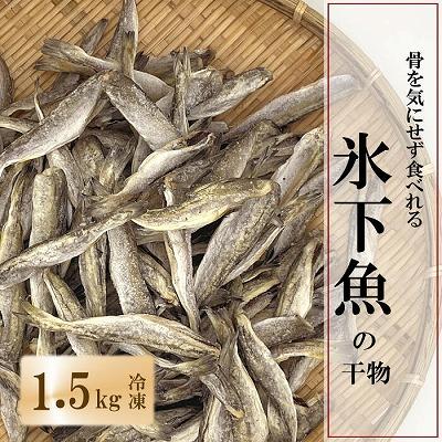 ふるさと納税 根室市 【北海道根室産】骨ごと食べれる生干しこまい 1.5kg A-69010