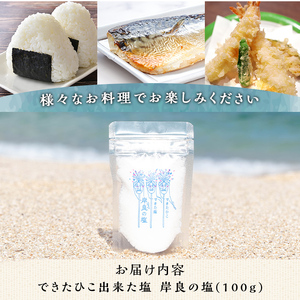 【P60003】できたひこ出来た塩　岸良の塩(100ｇ) 天日塩 塩 天然 無添加【岸良リトリート】