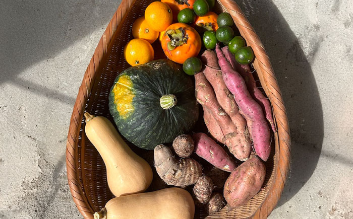 お任せピクルス５本セット化粧箱入り《築上町》【ERBA FARM733】 [ABAP006] 19000円 [ABAP006]