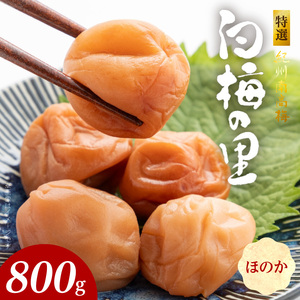 特選紀州南高梅「白梅の里」ほのか　800ｇ_SF2001