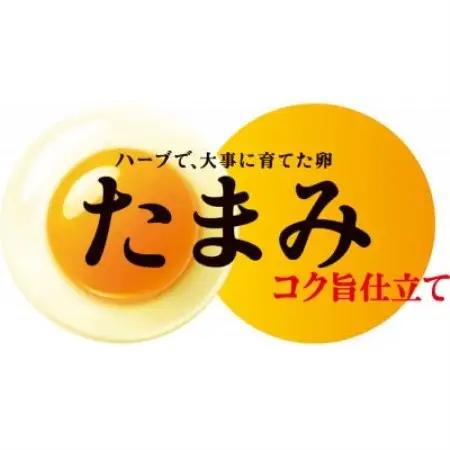 いすみポートリー産たまご「たまみ」6個入×10パック+割れ保障2パック【配送不可地域：離島】【1729054】