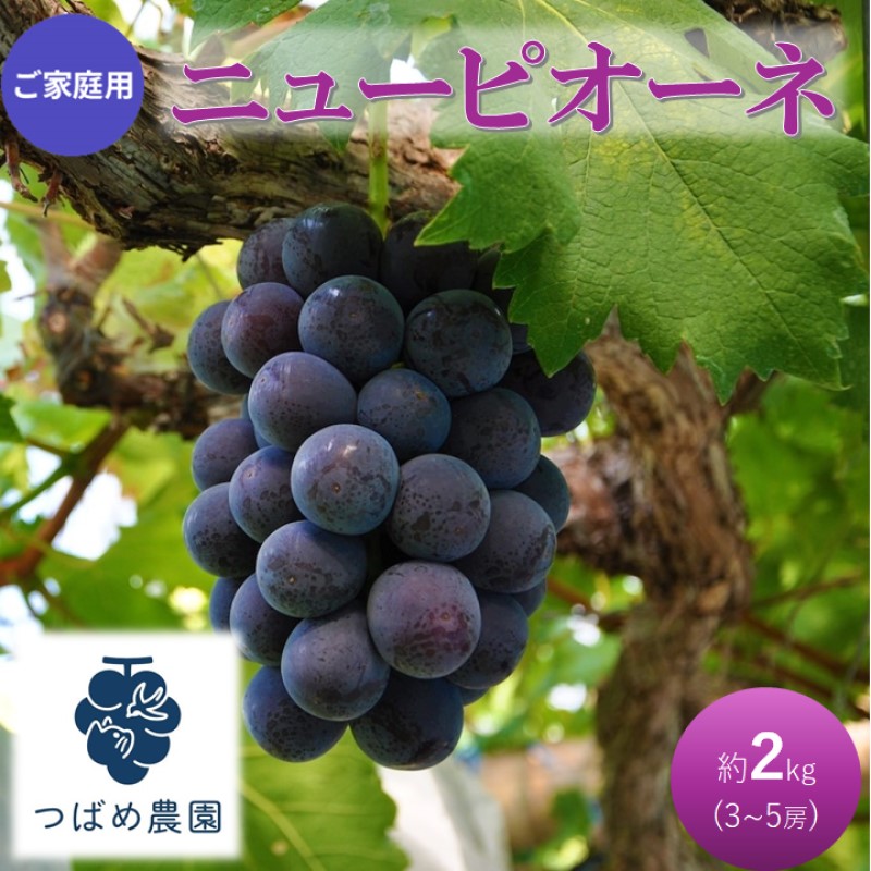 早期受付 ぶどう ご家庭用 ニューピオーネ 約2kg(3～5房) 岡山県 高梁市産