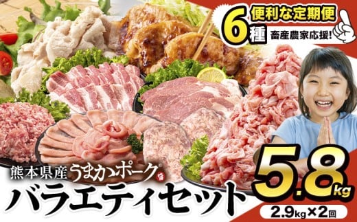 豚肉 うまか ポーク バラエティ セット 豚肉 しゃぶしゃぶ 切り落とし 豚ロース バラ 豚バラ スライス 【2回定期】 約5.8kg(2.9kg×2回)   定期便 真空 お楽しみセット 不揃い 数量限定 簡易包装 冷凍配送 小分け 《2ヶ月定期便(申込み翌月から出荷)》 豚肉