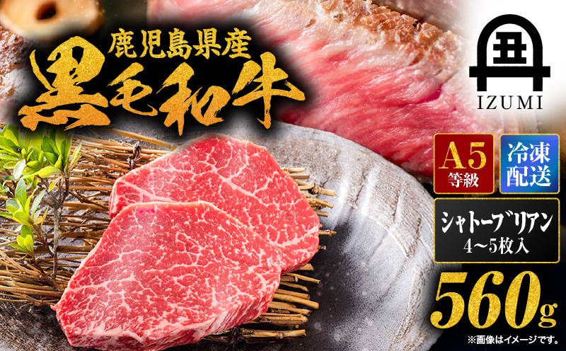 鹿児島県産黒毛和牛シャトーブリアン4〜5枚入（約560g）