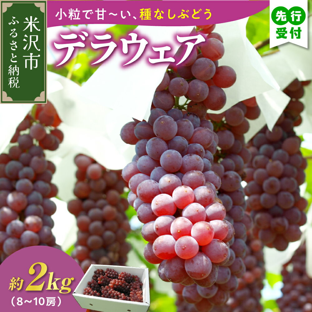 【ふるさと納税】【先行予約】【数量限定】【令和8年産】ぶどう デラウェア 2kg ( 8～10房 ) 2026年8月20日～9月20頃お届け予定