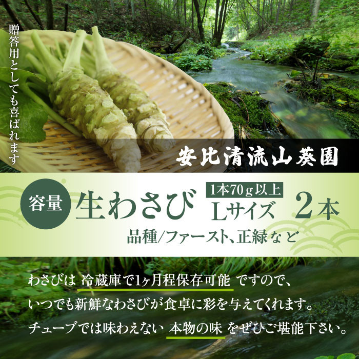生わさび(Lサイズ) 1本70g以上のもの確約 2本セット 【安比清流山葵園】 ／ 山葵 ワサビ 薬味 新鮮 産地直送