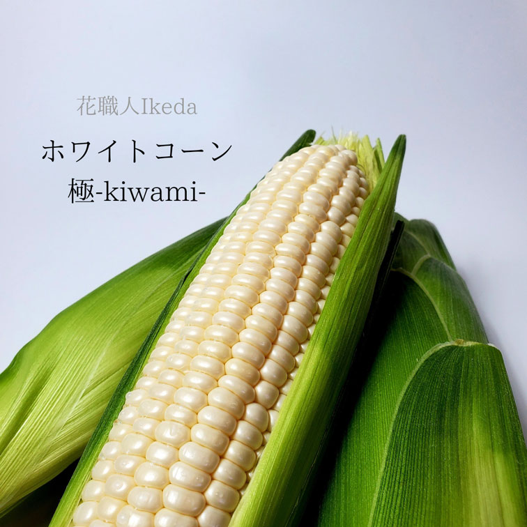 L012　ホワイトコーン極−Ｋｉｗａｍｉー（レギュラー）