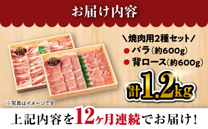 【12回定期便】大西海SPF豚 背ロース＆バラ（焼肉用）計1.2kg 訳あり ＜大西海ファーム＞ [CEK102] 豚肉